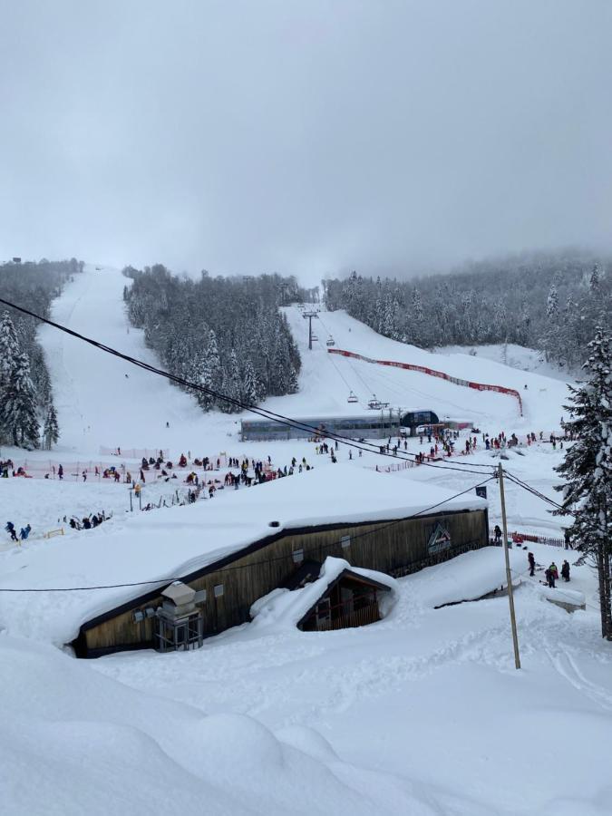 Wild Beauty Apartment-Modern Mountain 2 Kolasin Luaran gambar